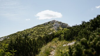 Trail races of Croatia