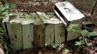 Found some old beehives, planning on rebuilding the site