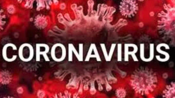 Scientists speed up the development of a coronavirus vaccine, omitting animal testing