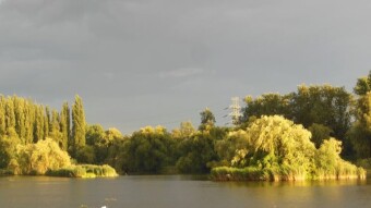Another rainy day, but an optimistic end to the day - My Actifit Report Card: August 7 2023