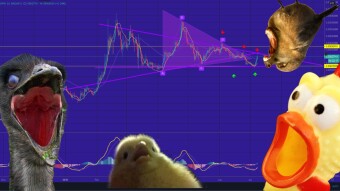 These altcoins could generate gigantic gains against Bitcoin. ¿Start ALTSEASON?