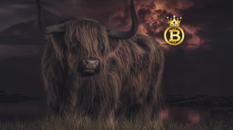 How To Guarantee Massive Gains In Crypto Bull Cycles