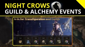 Night Crows 🌒 | New Guild and Alchemy Events!
