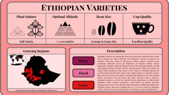 Conscious Caffeine #8 - Ethiopian varieties