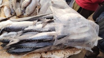 Shahjahan's Fish Market.(Backer Bazar)