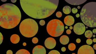 Bubbles