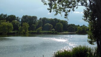 All day just cycling around the park and more - My Actifit Report Card: July 29 2023