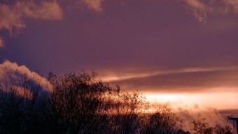 Beautiful sunsets and dilettantes feeding birds just anything - My Actifit Report Card: November 2 2022