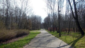 A surprisingly pleasant spring day - My Actifit Report Card: April 8 2023