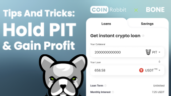 What is Pitbull – How to hold PIT and gain profit