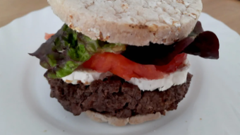The Solution Burguer