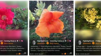 Publication of a daily floral photograph