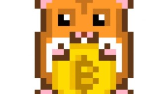 1 BTC Project - Q2 2026 Rollercoin Update