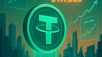 Stablecoin Market Grows for 20th Straight Month Amid Bitcoin’s All-Time High