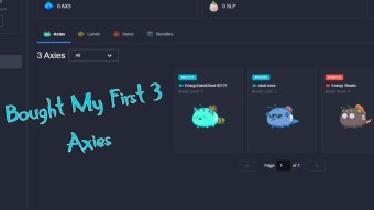 Life Changing Moment - Finally Bought My First 3 Axies For $2000