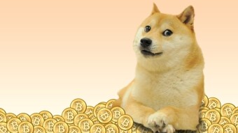 Why I Love Dogecoin: Memes Included
