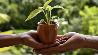 Nurture