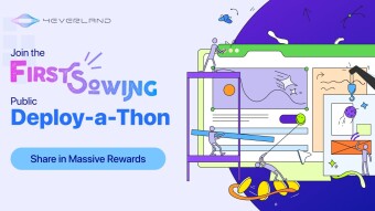 🪂Deploy & Vote to Earn🪂 — 4EVERLAND Airdrop Strategy
