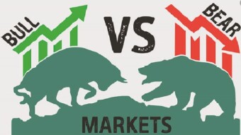 Bull or Bear, do you know why?