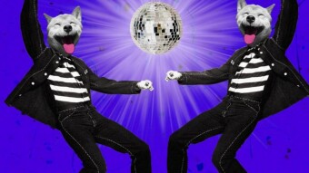Shiba Inu (SHIB) Plans Big Surprises for 2022