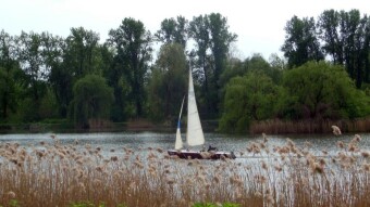 A beautiful warm Sunday, but the evening was disturbed by rain - My Actifit Report Card: April 14 2024