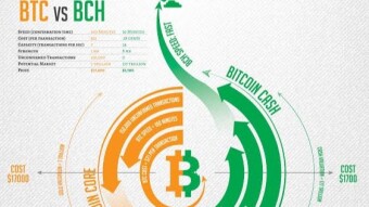 Have you observed the Crypto World?, "BTC is dead Coin While BCH is alive Coin"