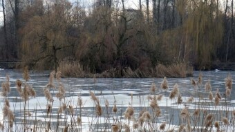 Another warm winter day. A walk to pure pleasure - My Actifit Report Card: January 28, 2025