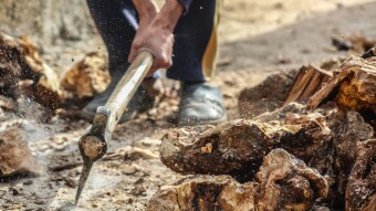 50 Feared Dead in DR Congo Gold Mine Collapse