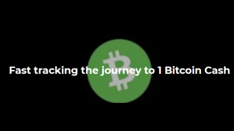Fast tracking the journey to 1 BCH