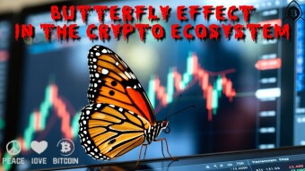 🦋 When a Butterfly Flaps its Wings and Shakes the Crypto Market.