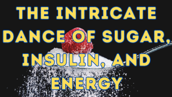The Intricate Dance of Sugar, Insulin, and Energy