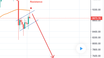 Top Crypto Traders Insights | Will $8117 Hold as Support?