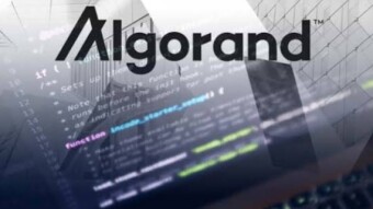 How to Stake Algorand Coin