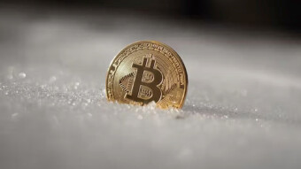 How to Survive Crypto Winter