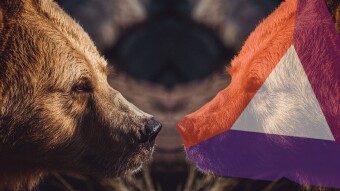 The Brave Browser Math