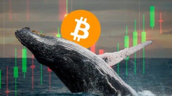 Binance is becoming the "ocean" of Bitcoin whales