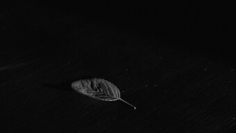 In Total Darkness