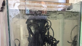DIY 15 gallon "Tall" passes the Water Leak Test!