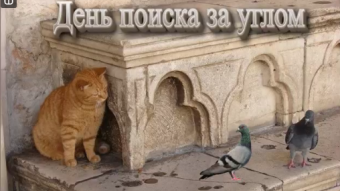 13 июля - праздники и исторические события дня