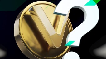 What is VeChain (VET) coin?