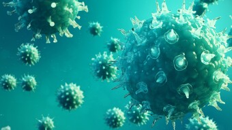 I have the coronavirus (it's been greatly over exaggerated)
