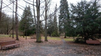 Return to the park and an intense walk on Boxing Day - My Actifit Report Card: December 26 2023