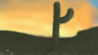 Desert Evening
