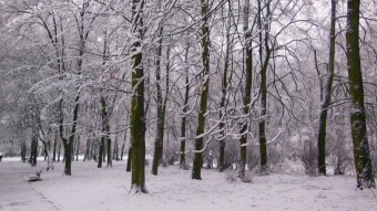 No illusions, it's white. If it only lasts a week, then yes - My Actifit Report Card: January 20 2023