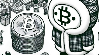 Daily Crypto Holiday-Market Update - December 25, 2024