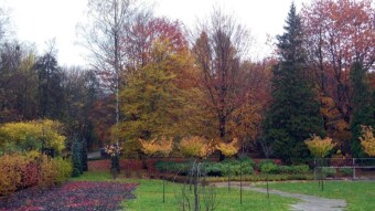 A foggy and cold morning turned into a beautiful sunny day - My Actifit Report Card: November 8 2023