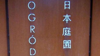 Wistfulness in a Japanese garden - My Actifit Report Card: November 20 2022
