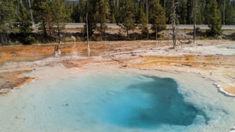 Yellowstone National Park pt. 2