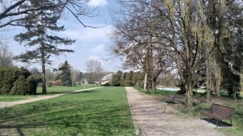 A little sun, a little cloud, a spring Friday - My Actifit Report Card: April 17, 2026