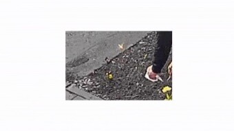 23.04.23 unbeliveable but , scammers everywhere, i caught someone stealing , in front of my house ....